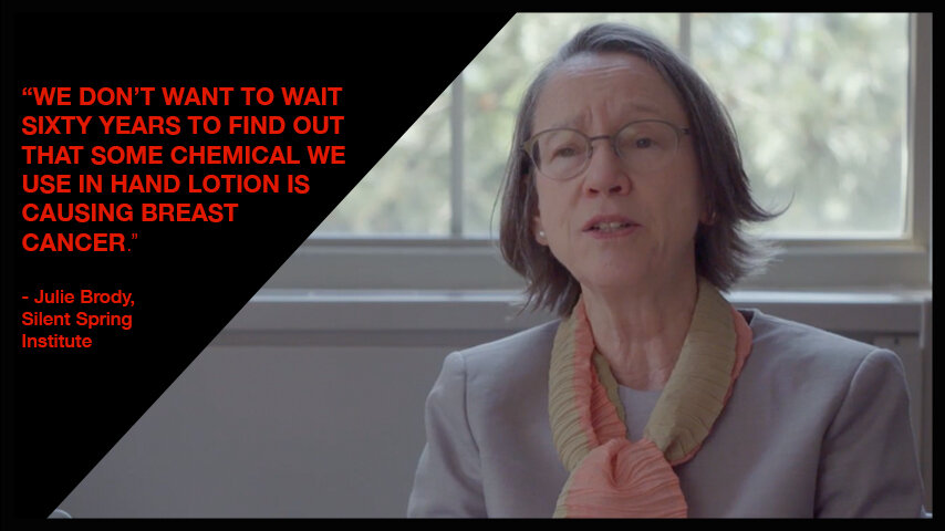 Dr. Julie Brody, Executive Director and Senior Scientist, Silent Spring Institute